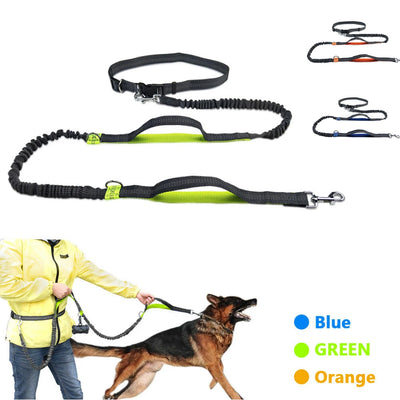 Hands-Free Leash