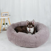 Dog Bed