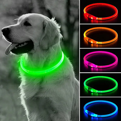 Led Collar for Loss Prevention