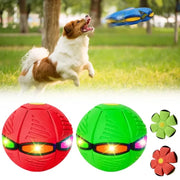 Interactive Pet Toy Flying Saucer Ball Summer