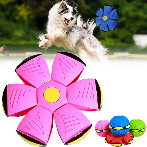 Interactive Pet Toy Flying Saucer Ball Summer