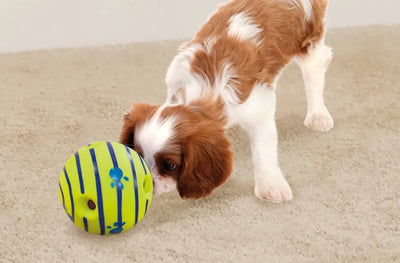 Interactive Dog Toy