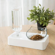 Feeding Bowl and Automatic Water Dispenser