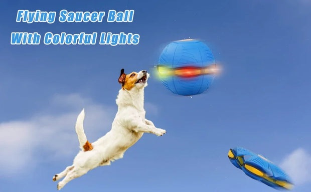 Interactive Pet Toy Flying Saucer Ball Summer