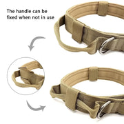 Military  Grade Collar Summer Training