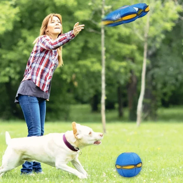 Interactive Pet Toy Flying Saucer Ball Summer