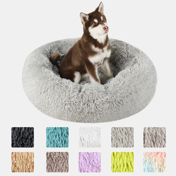 Dog Bed