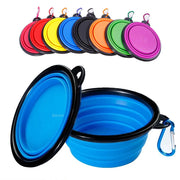 Collapsible Food and Water Bowl Summer