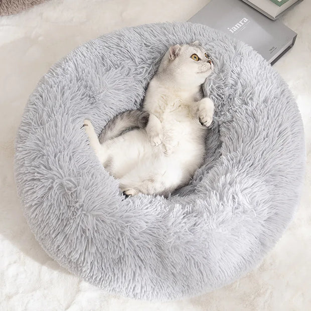 Dog Bed