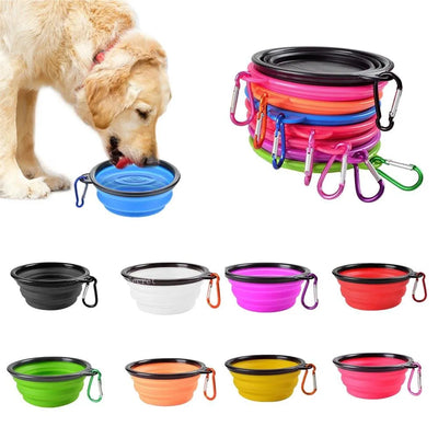 Collapsible Food and Water Bowl Summer