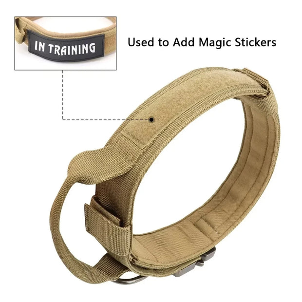 Military  Grade Collar Summer Training