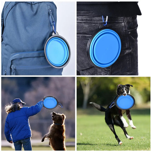 Collapsible Food and Water Bowl Summer