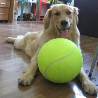 Giant Tennis Ball Toys for Pet