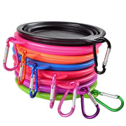 Collapsible Food and Water Bowl Summer