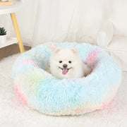 Dog Bed